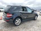 2010 Mercedes-Benz ML 350