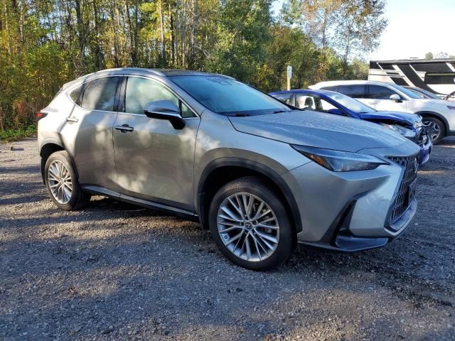 2023 Lexus NX 350H