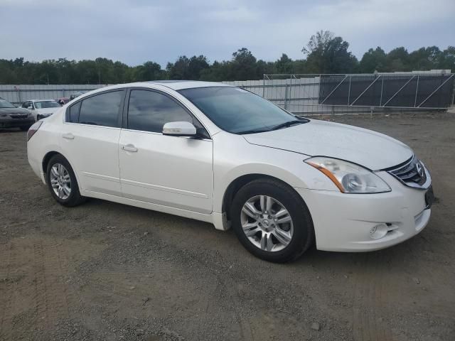 2010 Nissan Altima Base