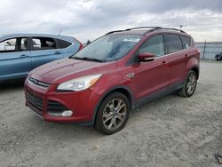 Salvage cars for sale at Antelope, CA auction: 2013 Ford Escape SEL