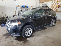 2013 Ford Edge SEL en venta en Ham Lake, MN