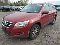 Volkswagen salvage cars for sale: 2009 Volkswagen Tiguan S