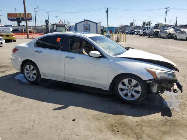 2010 Honda Accord EXL