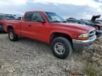 1999 Dodge Dakota