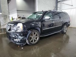 Cadillac Vehiculos salvage en venta: 2007 Cadillac Escalade ESV