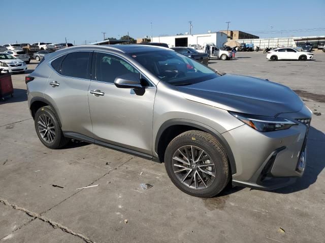 2024 Lexus NX 250 Premium