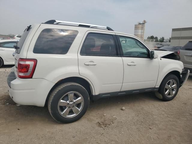 2010 Ford Escape Limited