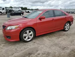 Salvage cars for sale at Harleyville, SC auction: 2010 Toyota Camry Base