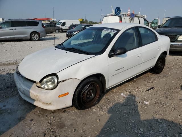 2000 Dodge Neon Base