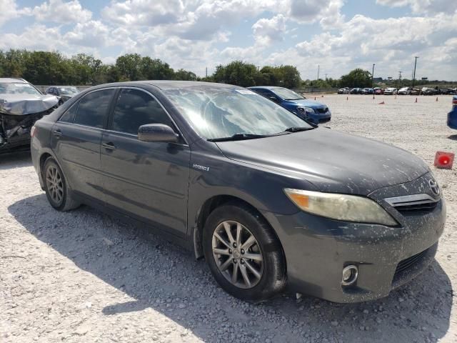 2010 Toyota Camry Hybrid