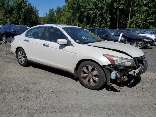 2008 Honda Accord EXL