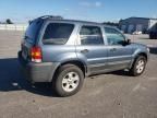 2005 Ford Escape XLT