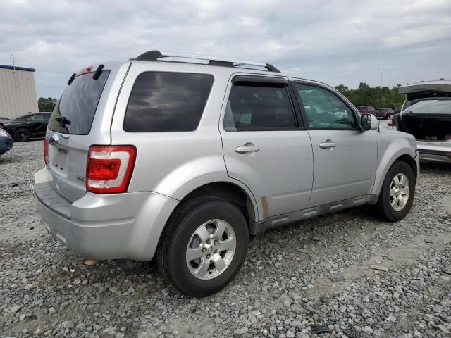 2010 Ford Escape Limited