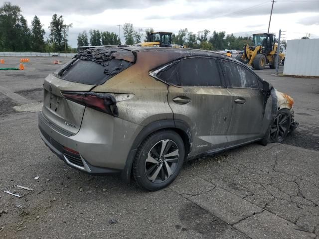 2020 Lexus NX 300H Luxury