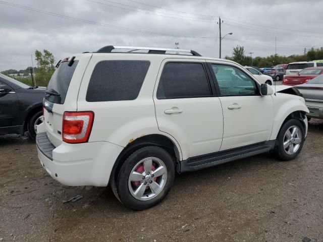 2011 Ford Escape Limited