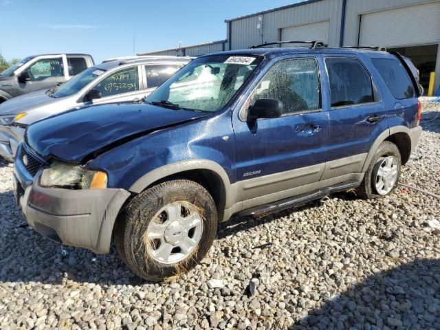 2002 Ford Escape XLT