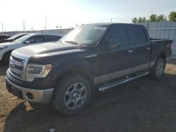 Salvage trucks for sale at Greenwood, NE auction: 2014 Ford F150 Supercrew