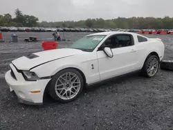 Ford salvage cars for sale: 2012 Ford Mustang Shelby GT500