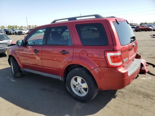 2012 Ford Escape XLT