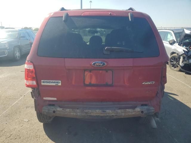 2009 Ford Escape XLT