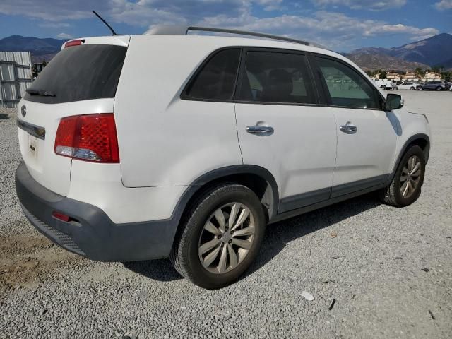 2011 KIA Sorento Base