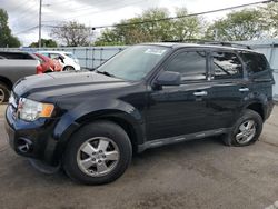 Ford salvage cars for sale: 2010 Ford Escape XLT