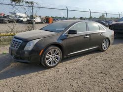 Cadillac xts salvage cars for sale: 2013 Cadillac XTS