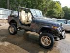 1994 Jeep Wrangler / YJ S