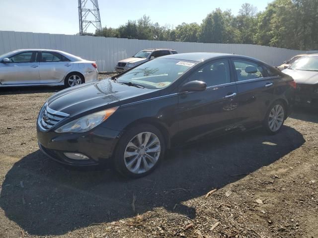 2011 Hyundai Sonata SE