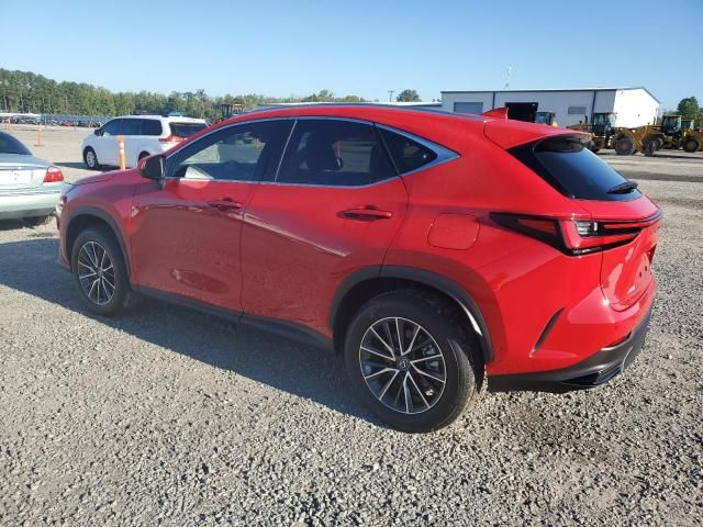 2025 Lexus NX 350H Base