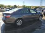 2007 Toyota Camry Hybrid