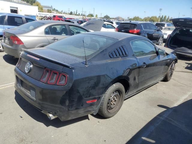 2014 Ford Mustang