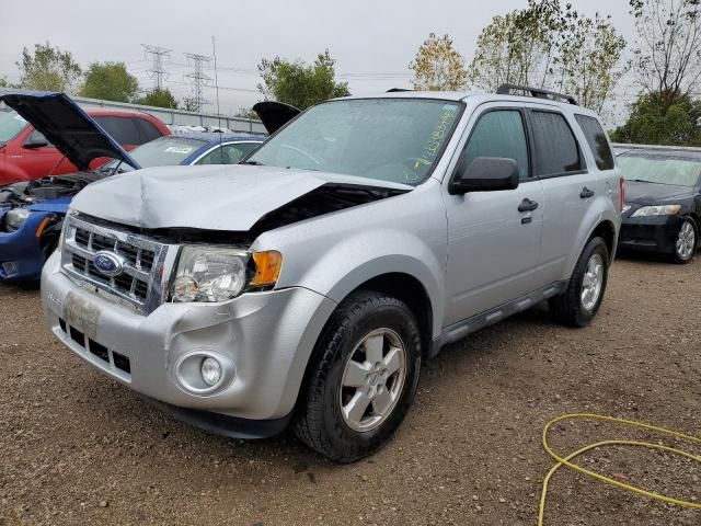 2011 Ford Escape XLT