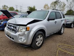 Salvage cars for sale at Elgin, IL auction: 2011 Ford Escape XLT