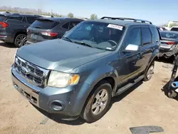 Salvage cars for sale at Tucson, AZ auction: 2012 Ford Escape Limited