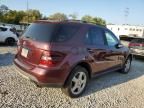 2008 Mercedes-Benz ML 350