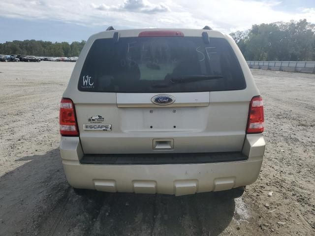 2011 Ford Escape XLT