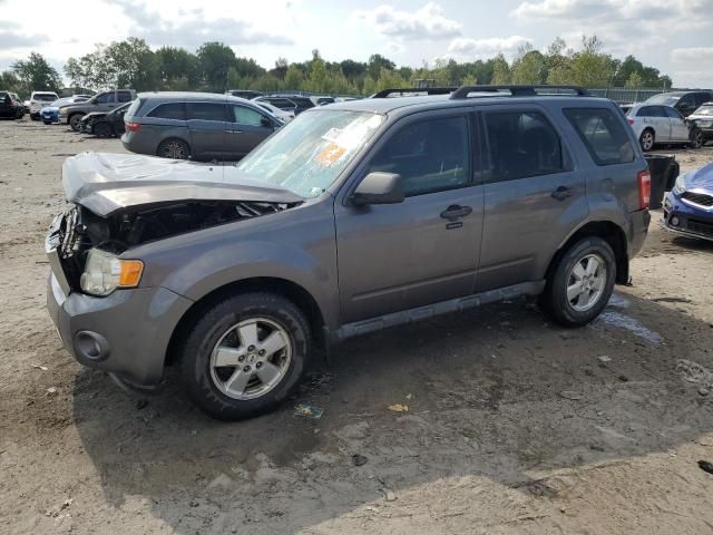 2010 Ford Escape XLT