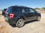 2008 Ford Escape Limited