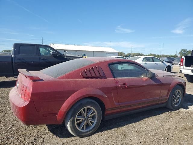 2005 Ford Mustang