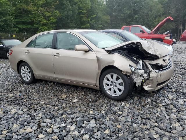 2008 Toyota Camry Hybrid