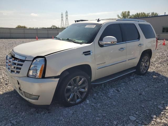 2014 Cadillac Escalade Luxury