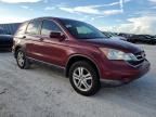 2010 Honda CR-V EXL