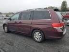 2009 Honda Odyssey EXL