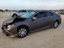 Salvage cars for sale at Arcadia, FL auction: 2024 Toyota Camry LE