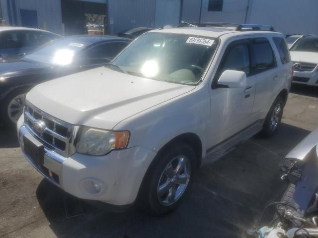 2010 Ford Escape Limited