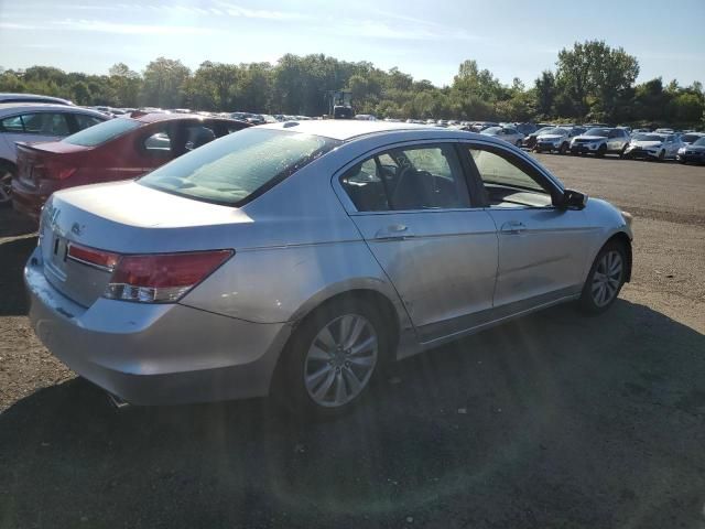 2011 Honda Accord EXL