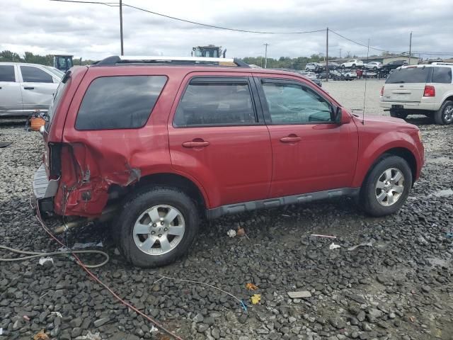 2011 Ford Escape Limited