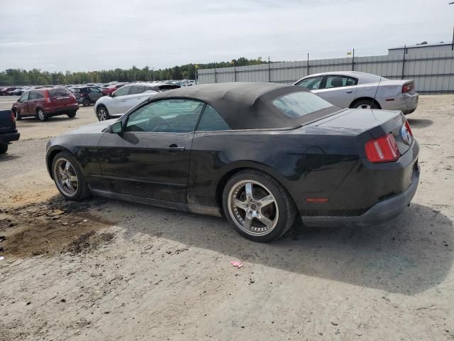 2010 Ford Mustang