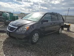 2010 Honda Odyssey EXL en venta en Magna, UT